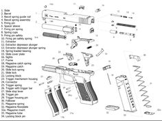 glock 19 diagram with labels